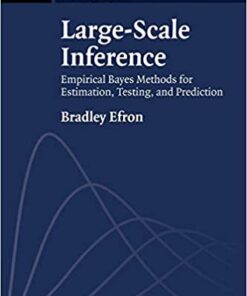 Large-Scale Inference: Empirical Bayes Methods for Estimation, Testing, and Prediction eBook