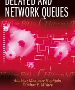 Delayed and Network Queues eBook
