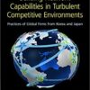 Building Network Capabilities in Turbulent Competitive Environments: Practices of Global Firms from Korea and Japan eBook