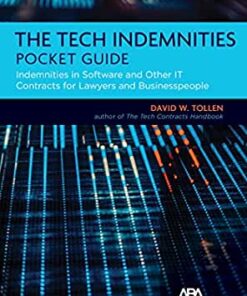 The Tech Indemnities Pocket Guide: Indemnities in Software and Other IT Contracts for Lawyers and Businesspeople eBook