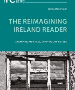 The Reimagining Ireland Reader: Examining Our Past, Shaping Our Future eBook