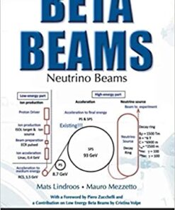 Beta Beams: Neutrino Beams eBook