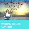 Writing Online Content eBook