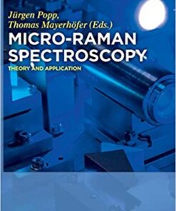Micro-Raman Spectroscopy: Theory and Application eBook