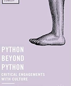 Python beyond Python: Critical Engagements with Culture eBook