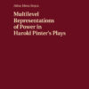 Multilevel Representations of Power in Harold Pinter's Plays eBook