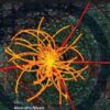 Discovery Of The Higgs Boson eBook