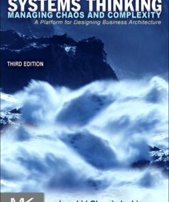 Systems Thinking: Managing Chaos and Complexity: A Platform for Designing Business Architecture eBook