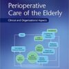 Perioperative Care of the Elderly: Clinical and Organizational Aspects eBook