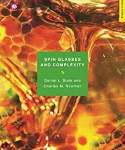 Spin Glasses and Complexity eBook