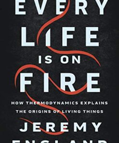 Every Life Is on Fire: How Thermodynamics Explains the Origins of Living Things eBook