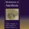 Neural Mechanisms of Anesthesia eBook