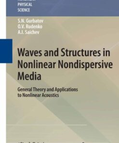 Waves and Structures in Nonlinear Nondispersive Media: General Theory and Applications to Nonlinear Acoustics eBook