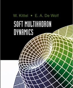 Soft Multihadron Dynamics eBook