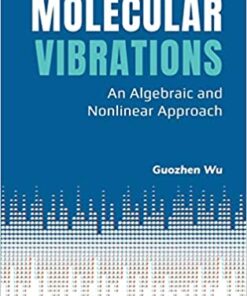 Molecular Vibrations: An Algebraic And Nonlinear Approach An Algebraic and Nonlinear Approach eBook