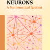 Neurons: A Mathematical Ignition A Mathematical Ignition eBook