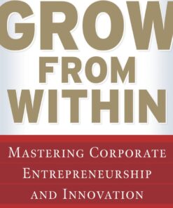 Grow from Within: Mastering Corporate Entrepreneurship and Innovation: Mastering Corporate Entrepreneurship and Innovation eBook