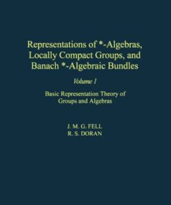 Representations of *-Algebras, Locally Compact Groups, and Banach *-Algebraic Bundles eBook