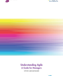 Understanding Agile: A Guide for Managers ePub eBook