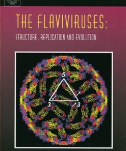 The Flaviviruses: Structure, Replication and Evolution: Structure, Replication and Evolution eBook