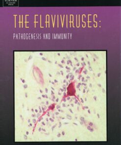 The Flaviviruses: Pathogenesis and Immunity: Pathogenesis and Immunity eBook