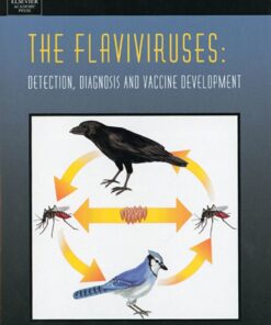 The Flaviviruses: Detection, Diagnosis and Vaccine Development: Detection, Diagnosis and Vaccine Development eBook