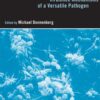 E. coli: Genomics, Evolution and Pathogenesis eBook