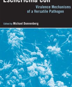 E. coli: Genomics, Evolution and Pathogenesis eBook