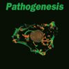 Principles of Bacterial Pathogenesis eBook