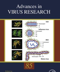 Advances in Virus Research eBook