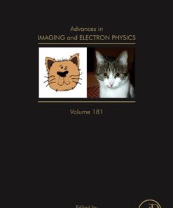 Advances in Imaging and Electron Physics eBook