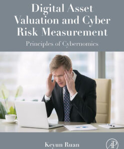 Digital Asset Valuation and Cyber Risk Measurement: Principles of Cybernomics eBook
