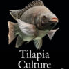 Tilapia Culture: Second Edition eBook