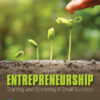 Entrepreneurship: Starting and Operating A Small Business eBook