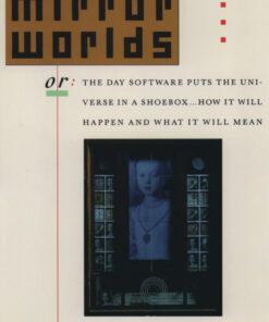 Mirror Worlds or the Day Software Puts the Universe in a Shoebox...How It Will Happen and What It Will Mean eBook