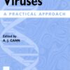 DNA Viruses: A Practical Approach eBook