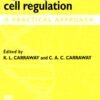 Cytoskeleton: Signalling and Cell Regulation 1st Edition: A Practical Approach eBook