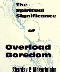 The Spiritual Significance of Overload Boredom eBook