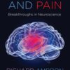 The Brain and Pain: Breakthroughs in Neuroscience eBook