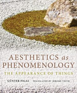Aesthetics as Phenomenology: The Appearance of Things eBook