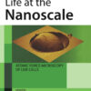 Life at the Nanoscale : Atomic Force Microscopy of Live Cells eBook