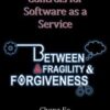 Configuring Internal Controls for Software as a Service: Between Fragility and Forgiveness eBook