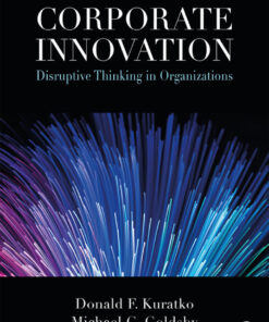 Corporate Innovation: Disruptive Thinking in Organizations eBook