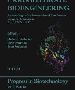 Carbohydrate Bioengineering eBook