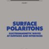 Surface Polaritons eBook