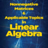 Nonnegative Matrices and Applicable Topics in Linear Algebra eBook