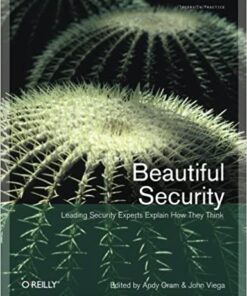 Beautiful Security: Leading Security Experts Explain How They Think eBook