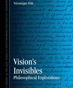 Vision's Invisibles: Philosophical Explorations eBook
