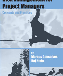 Risk Management for Project Managers: Concepts and Practices eBook