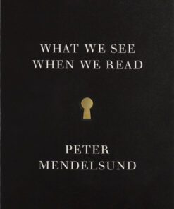 What We See When We Read eBook